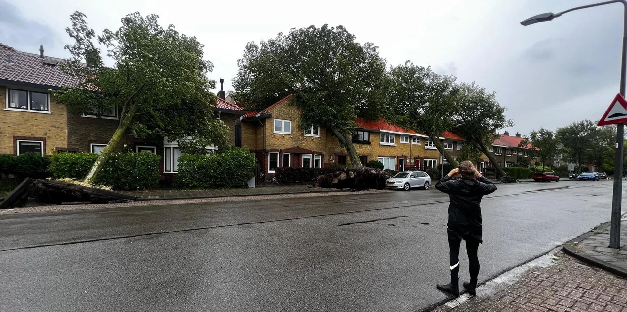 molijnstraat 1