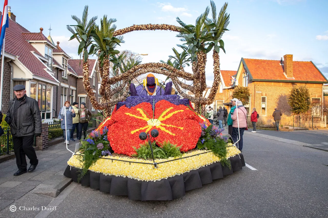 mooi1