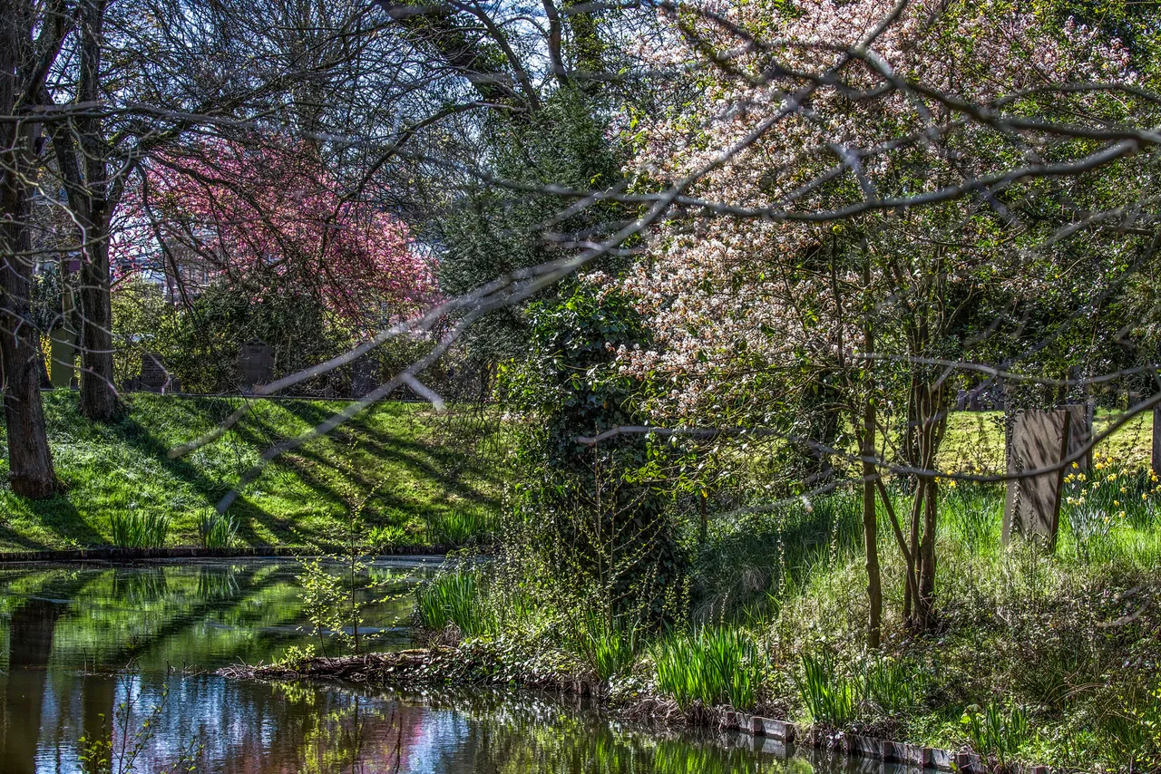 natuur prachtig