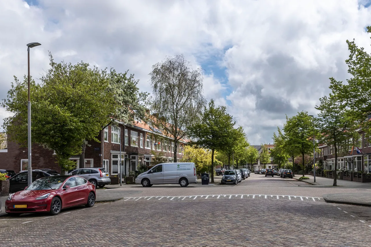 nesstraat v
