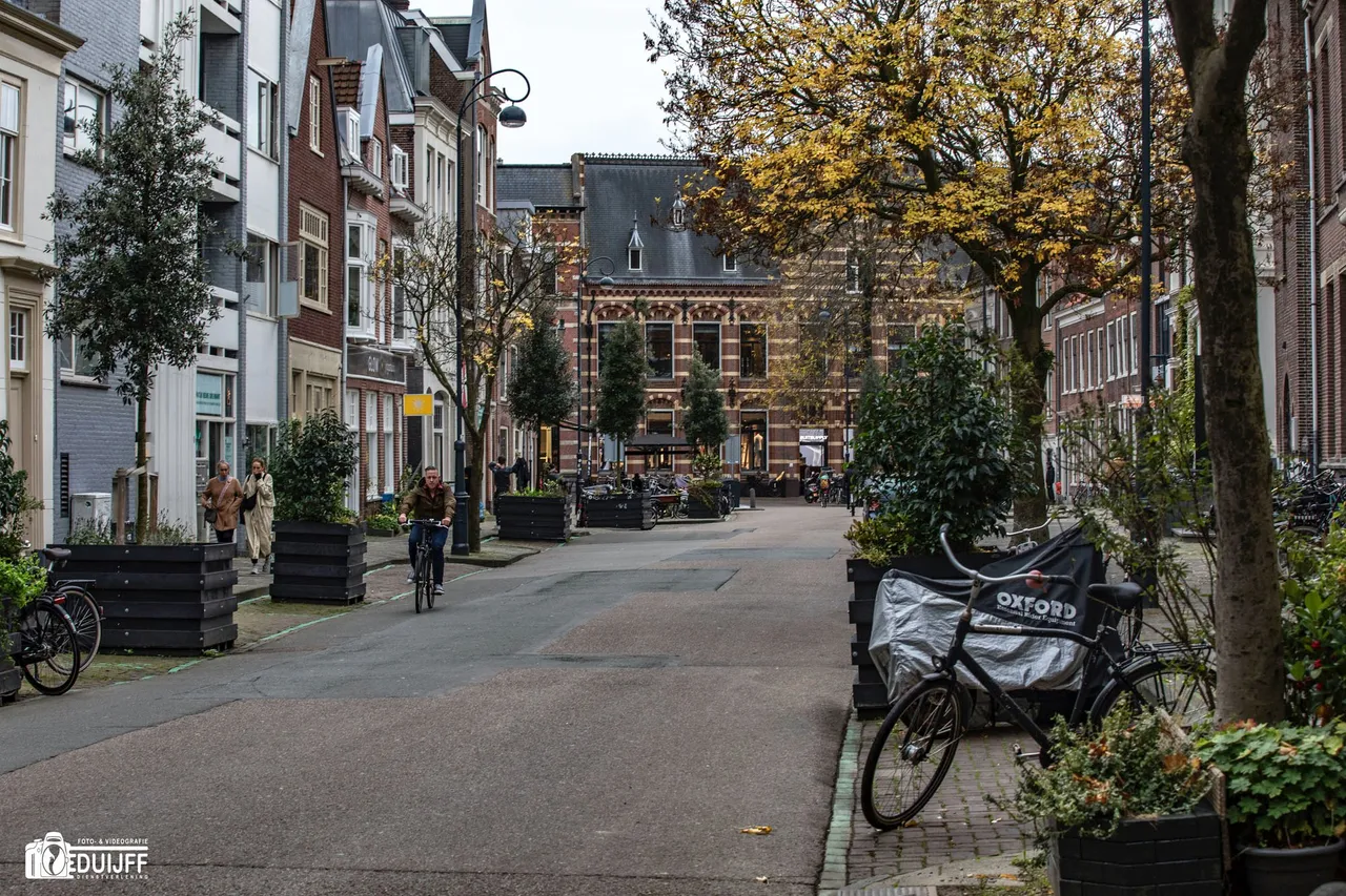 nieuwe groenmarkt