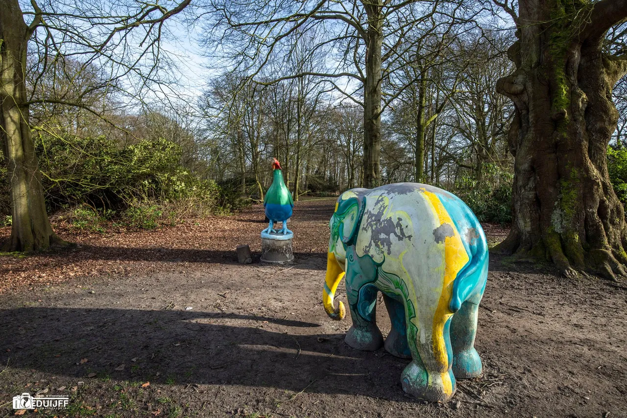 olifant beeld