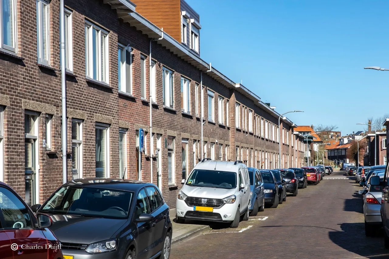 opzoeken