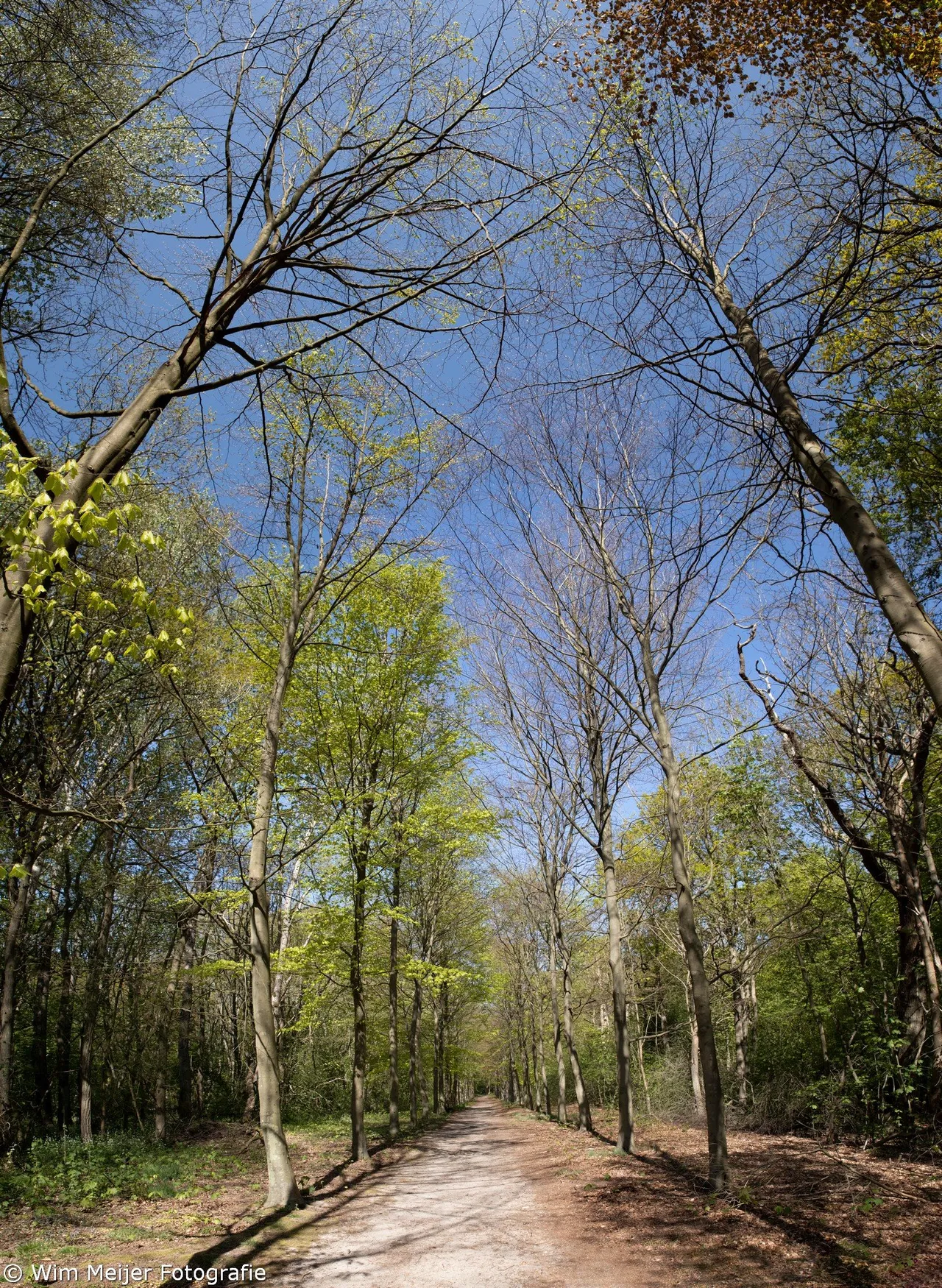 panorama leyduin 1