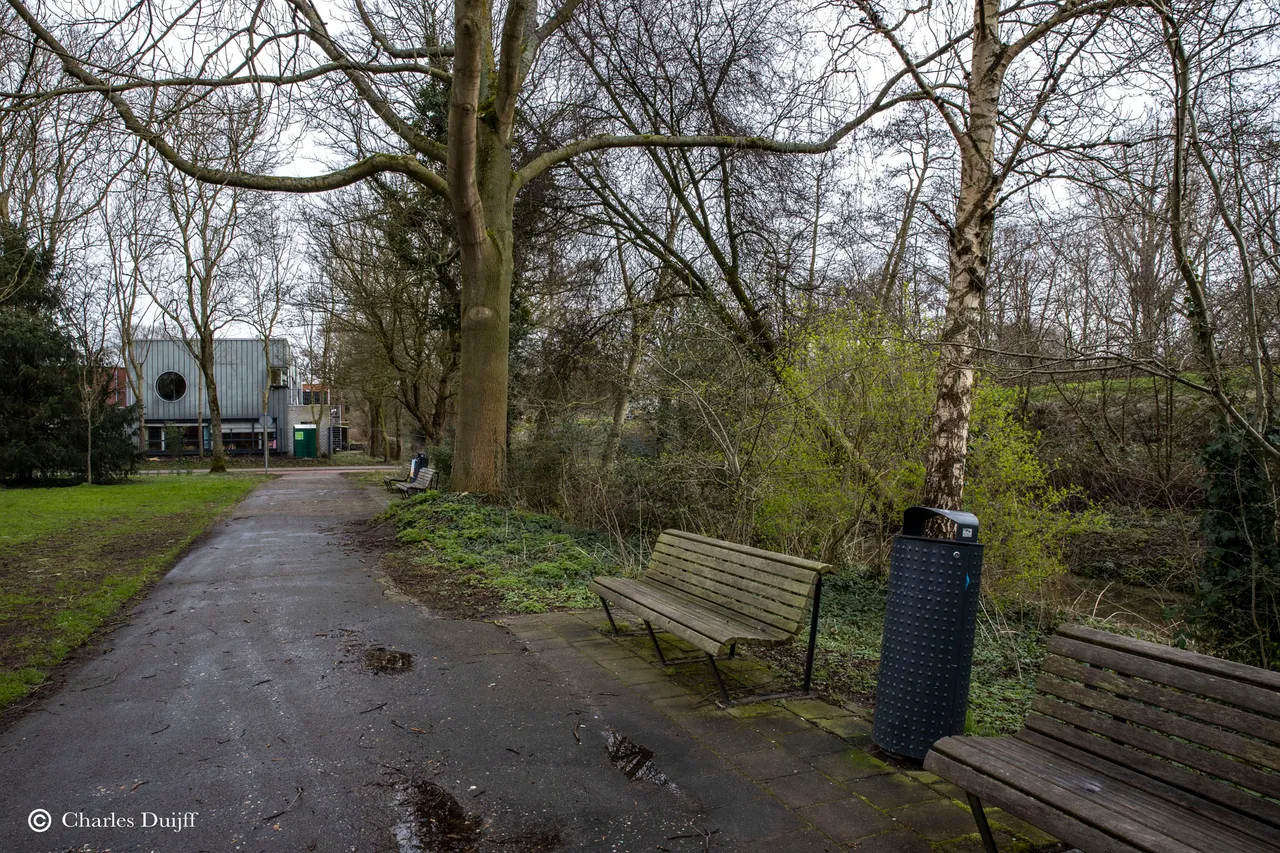 park achter haarlem hoog