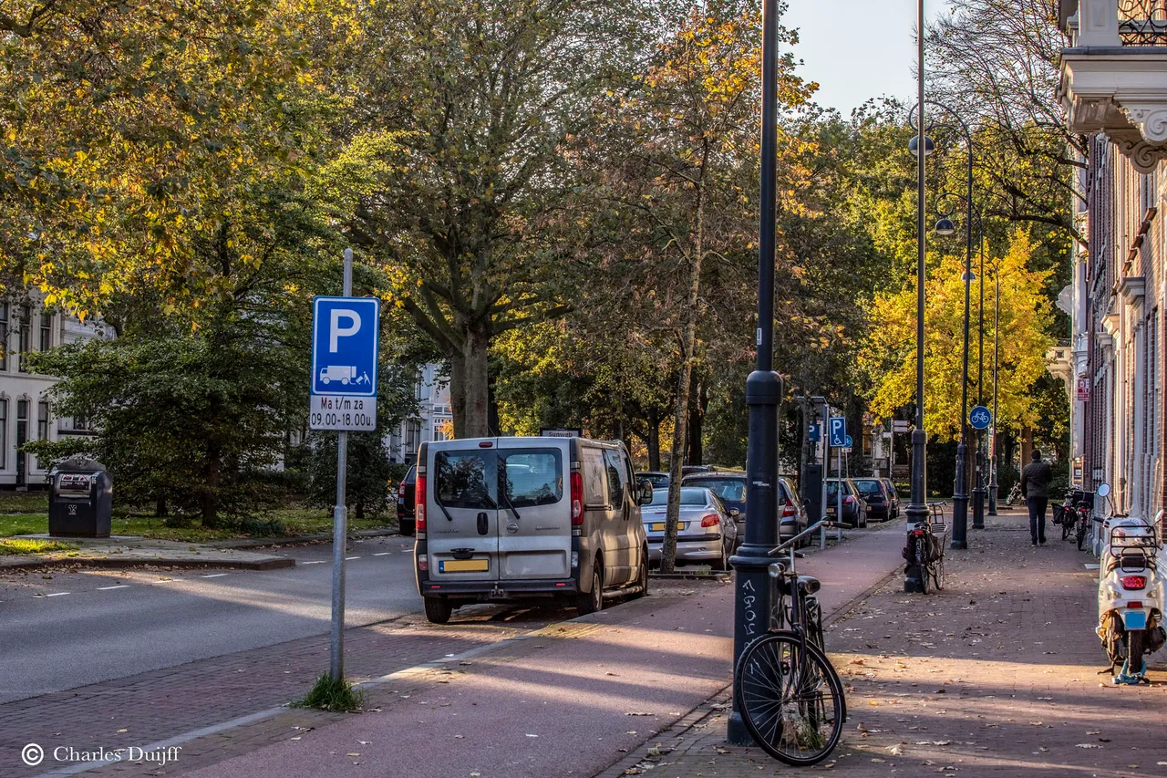 parklaan