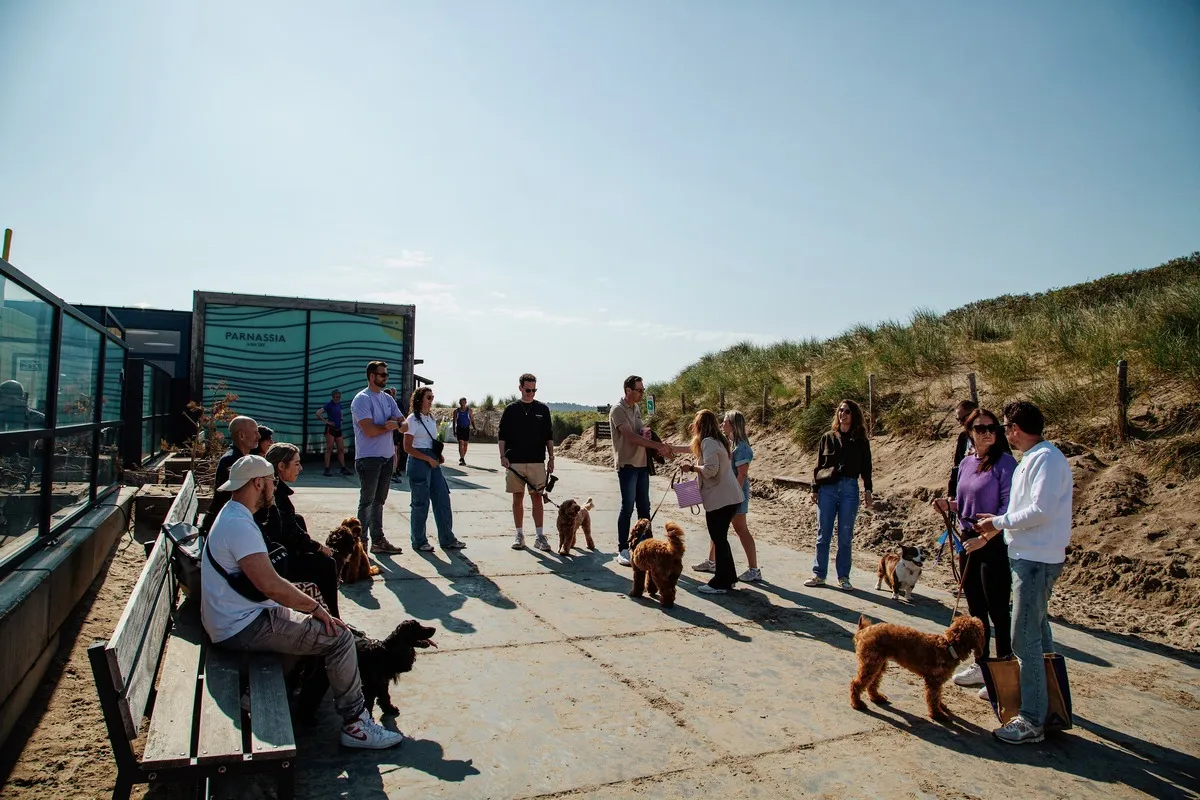 parnassia dogs 1