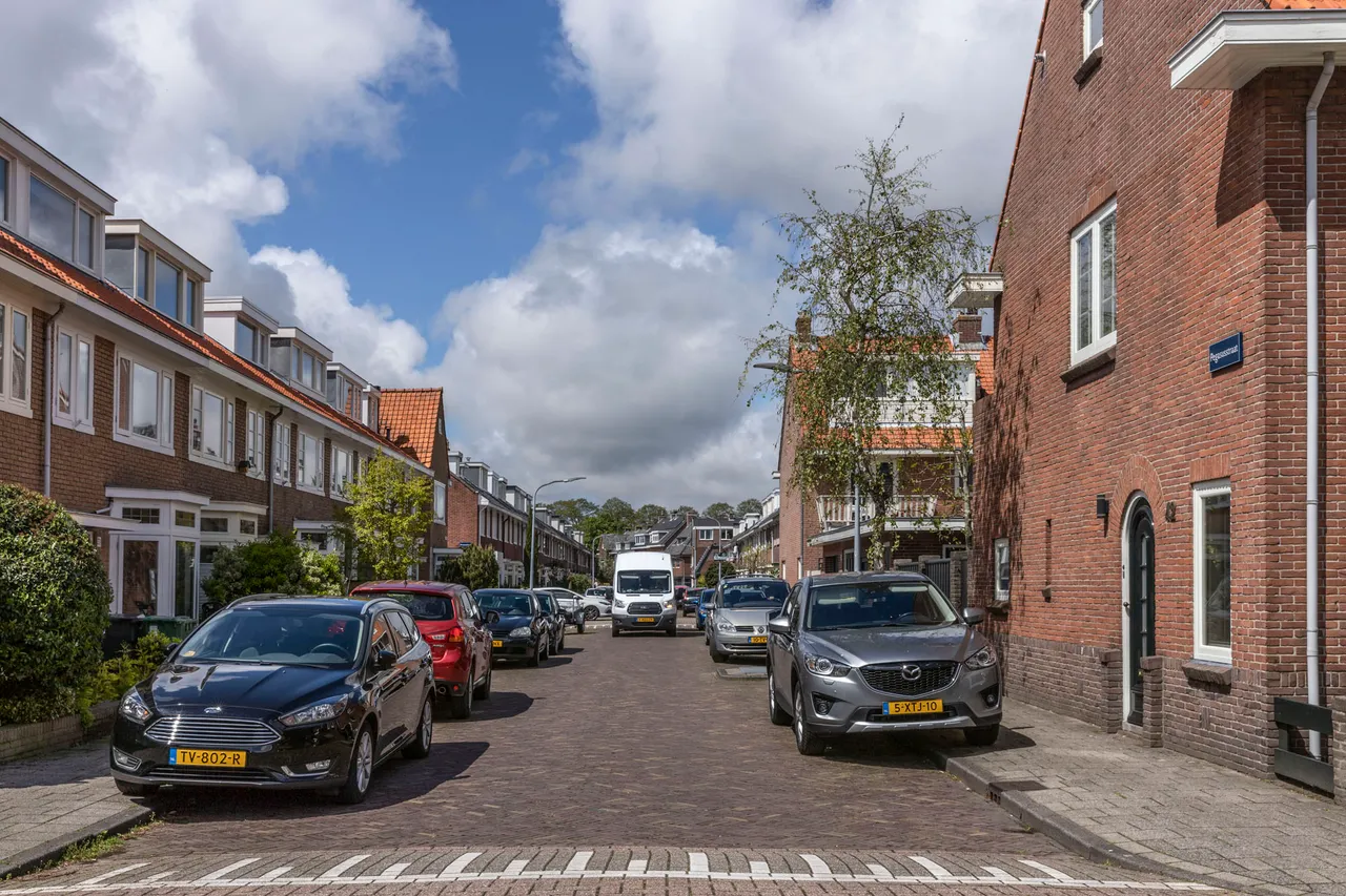 pegausstraat