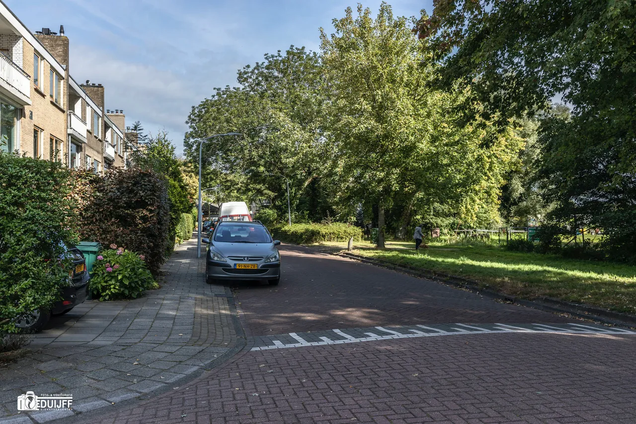 pieter wantelaan b