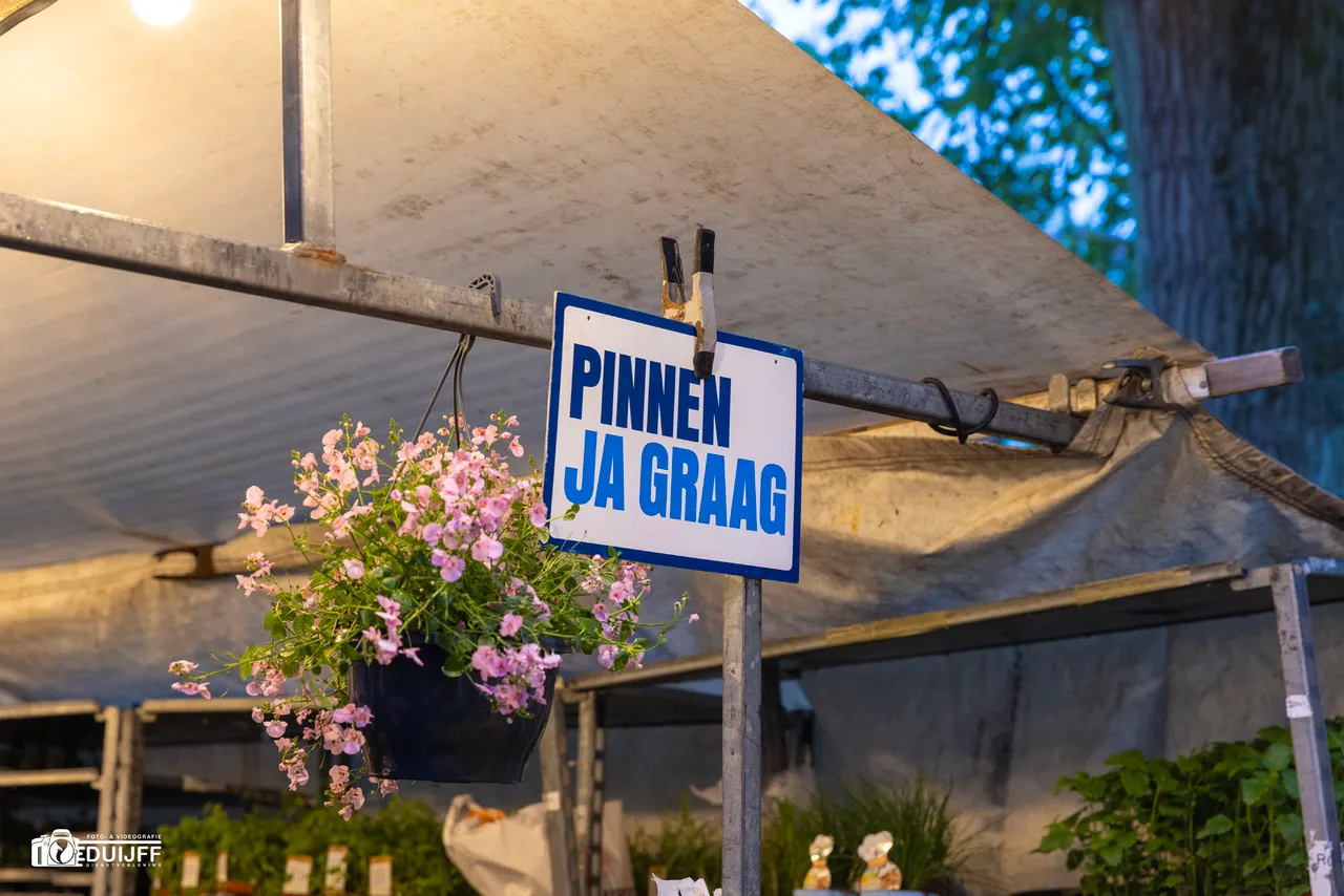 pinnen art