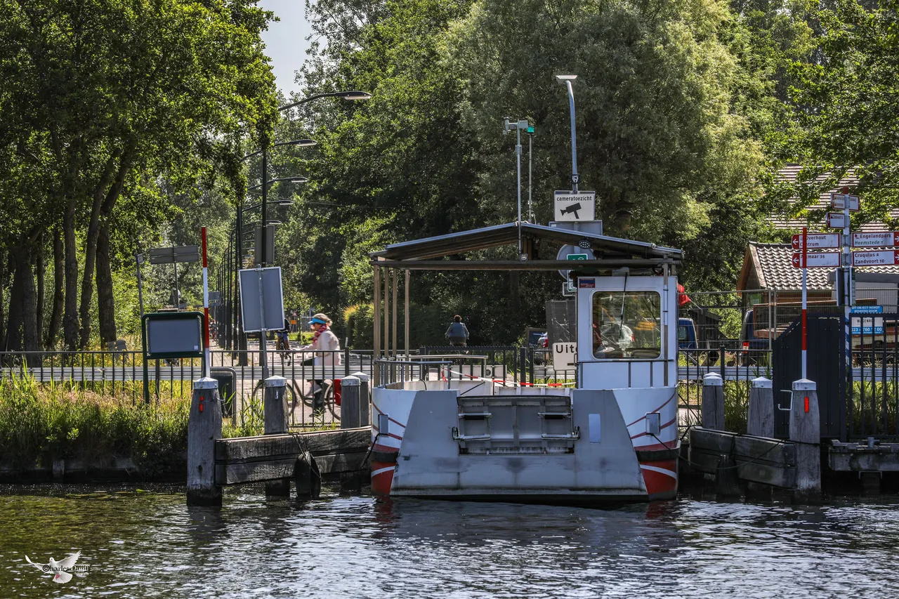 pontje