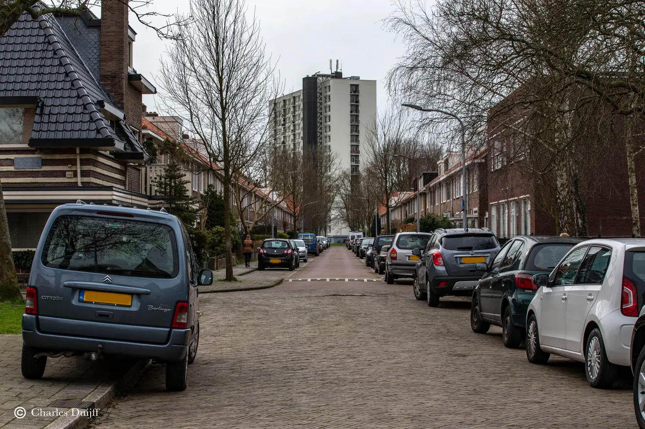 prof vd waalstraat2