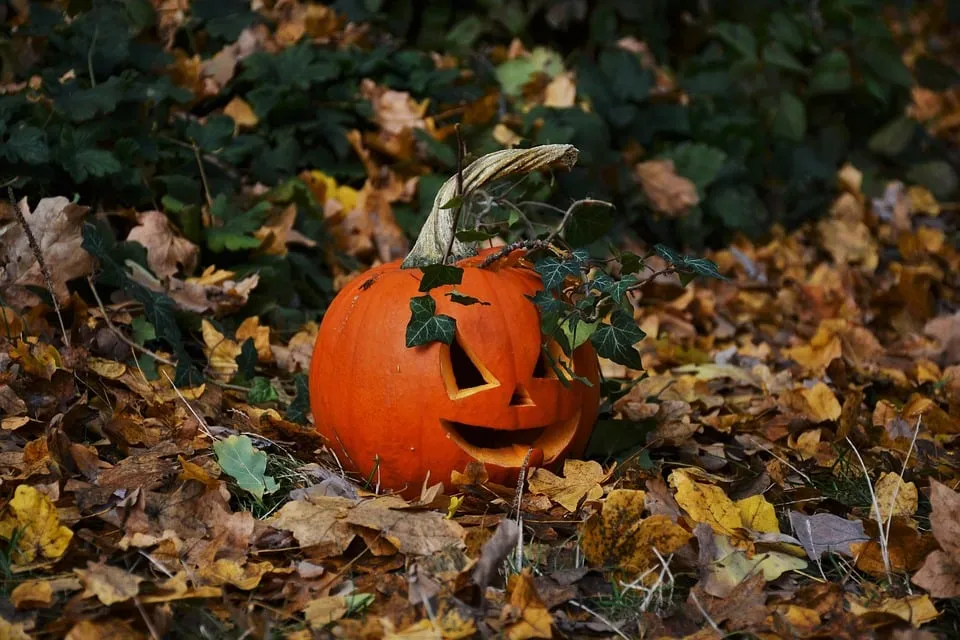 pumpkin 1781240 960 720