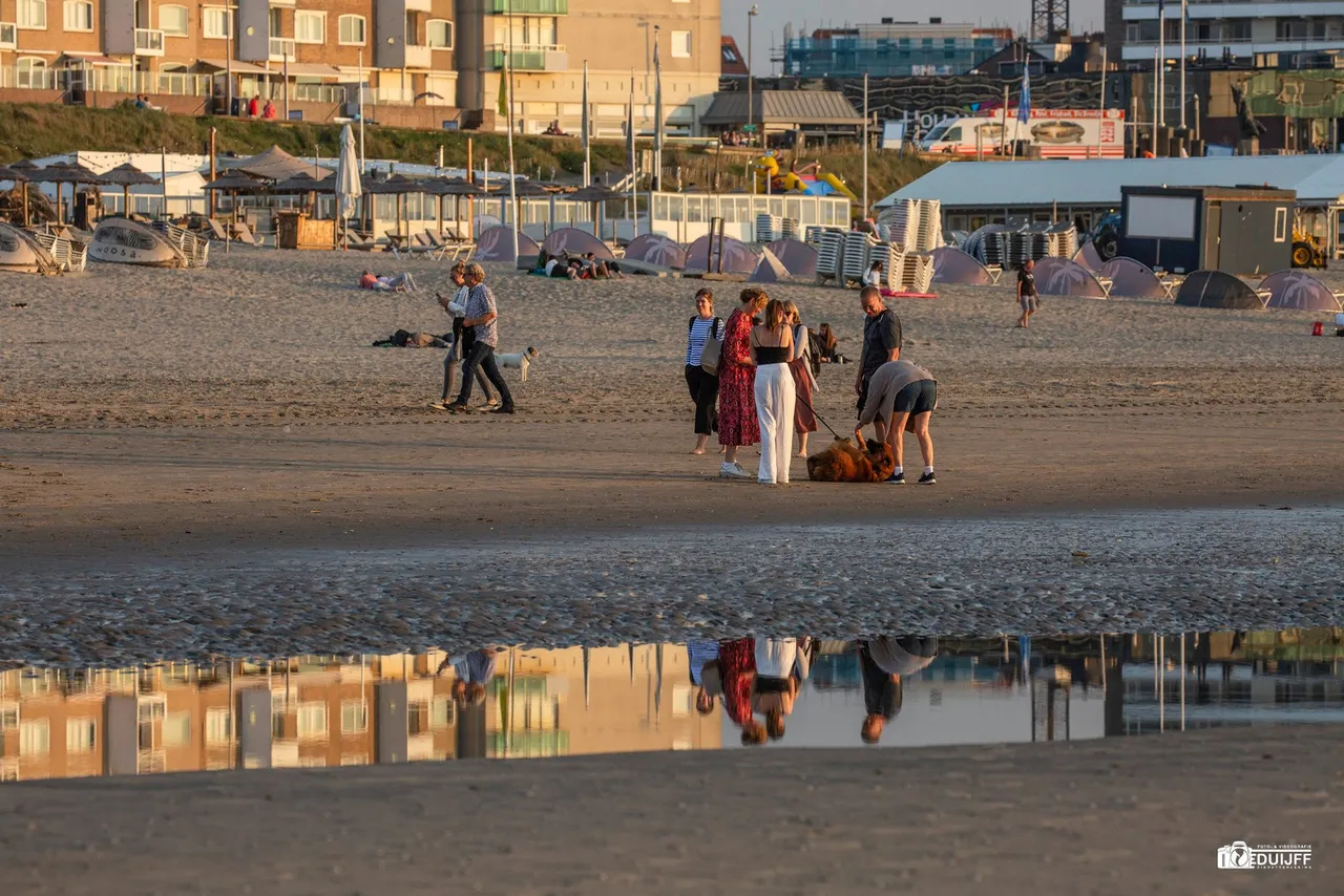 reflextie 2