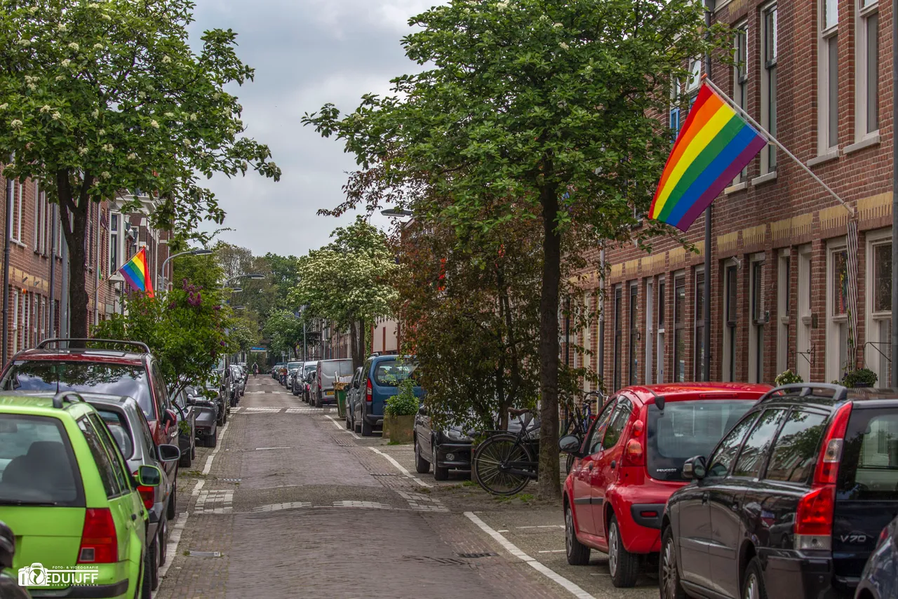 regenboogvlag1