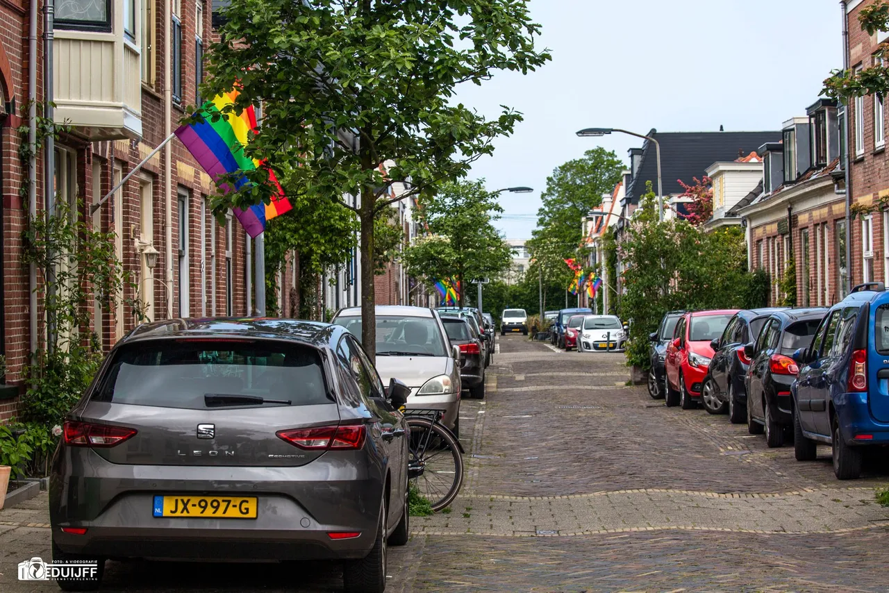 regenboogvlag3