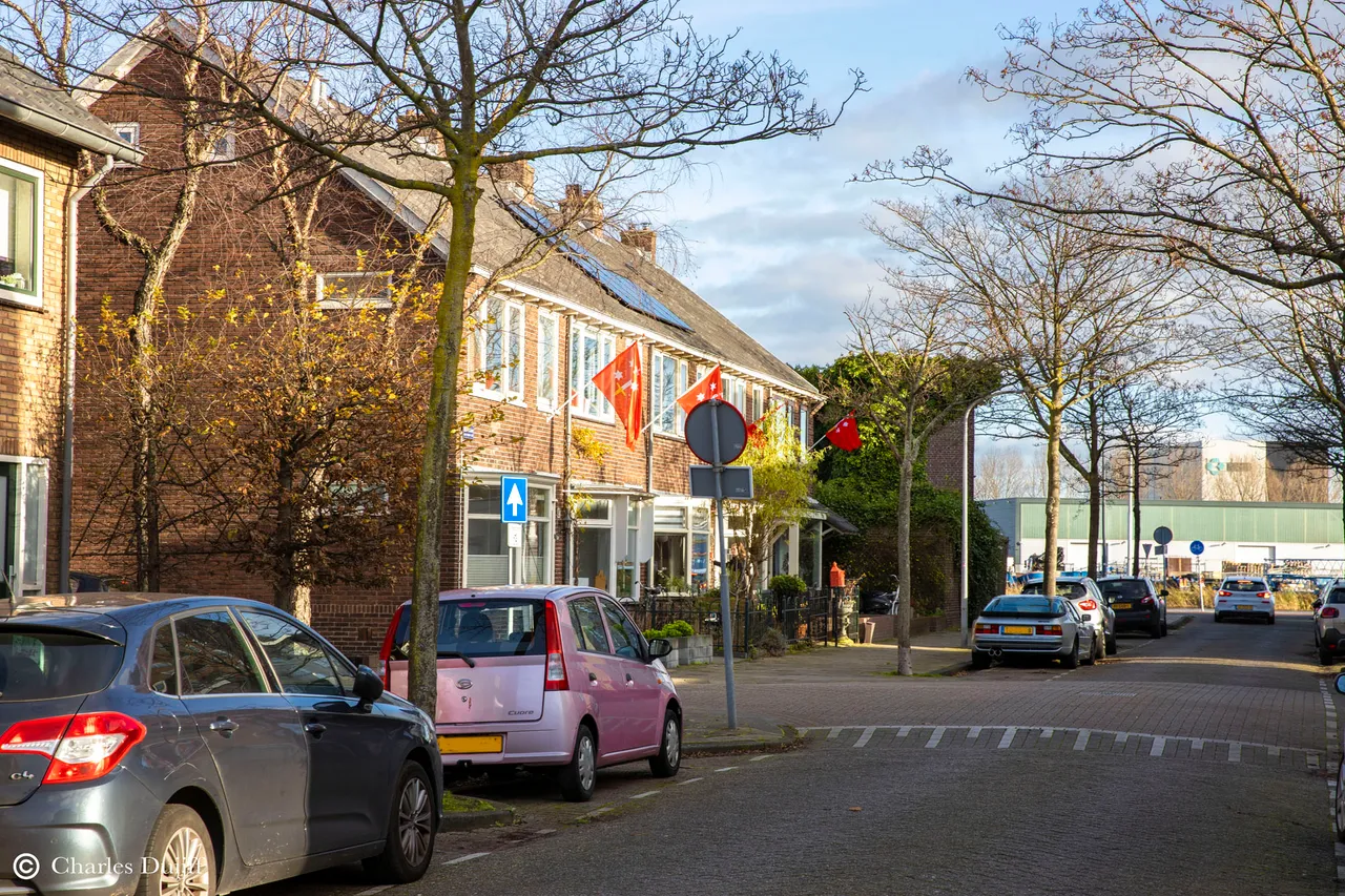 reitzstraat