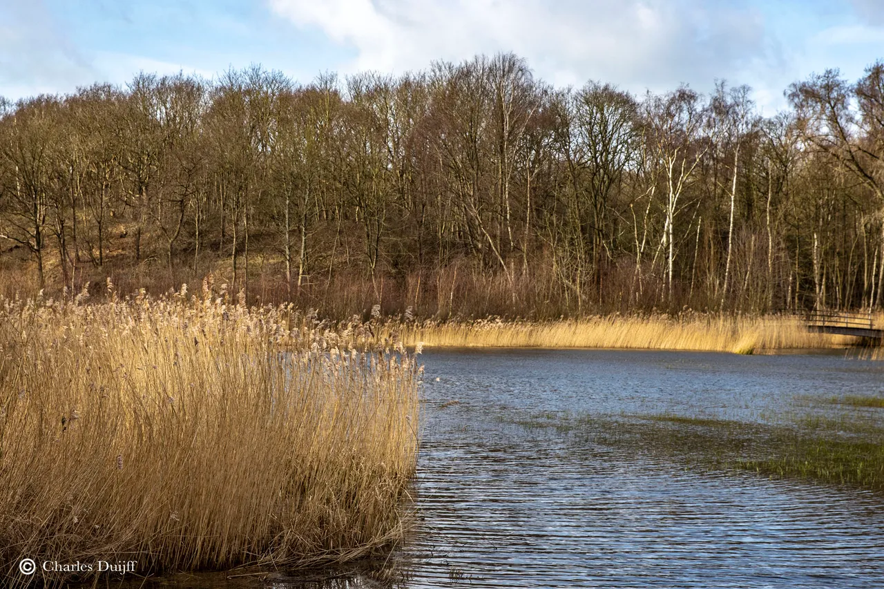 riet1