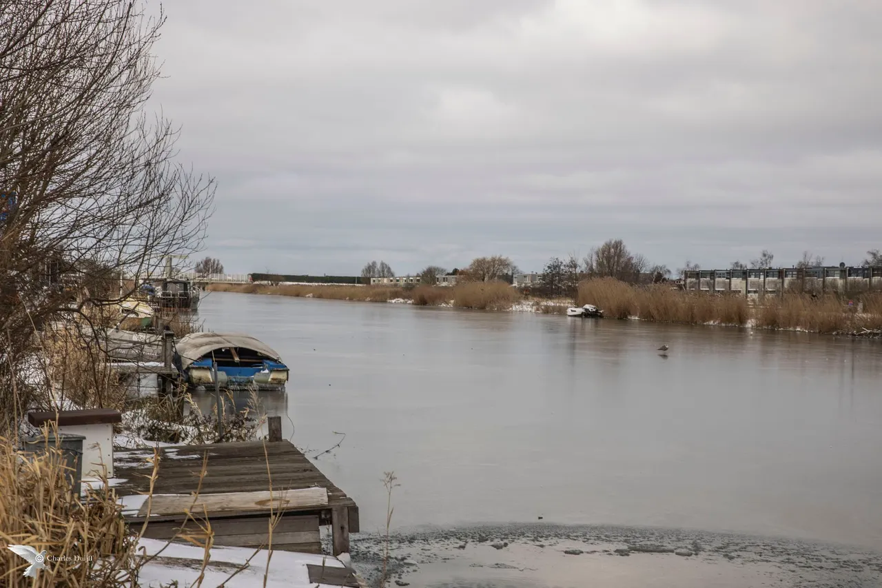 ringvaart3