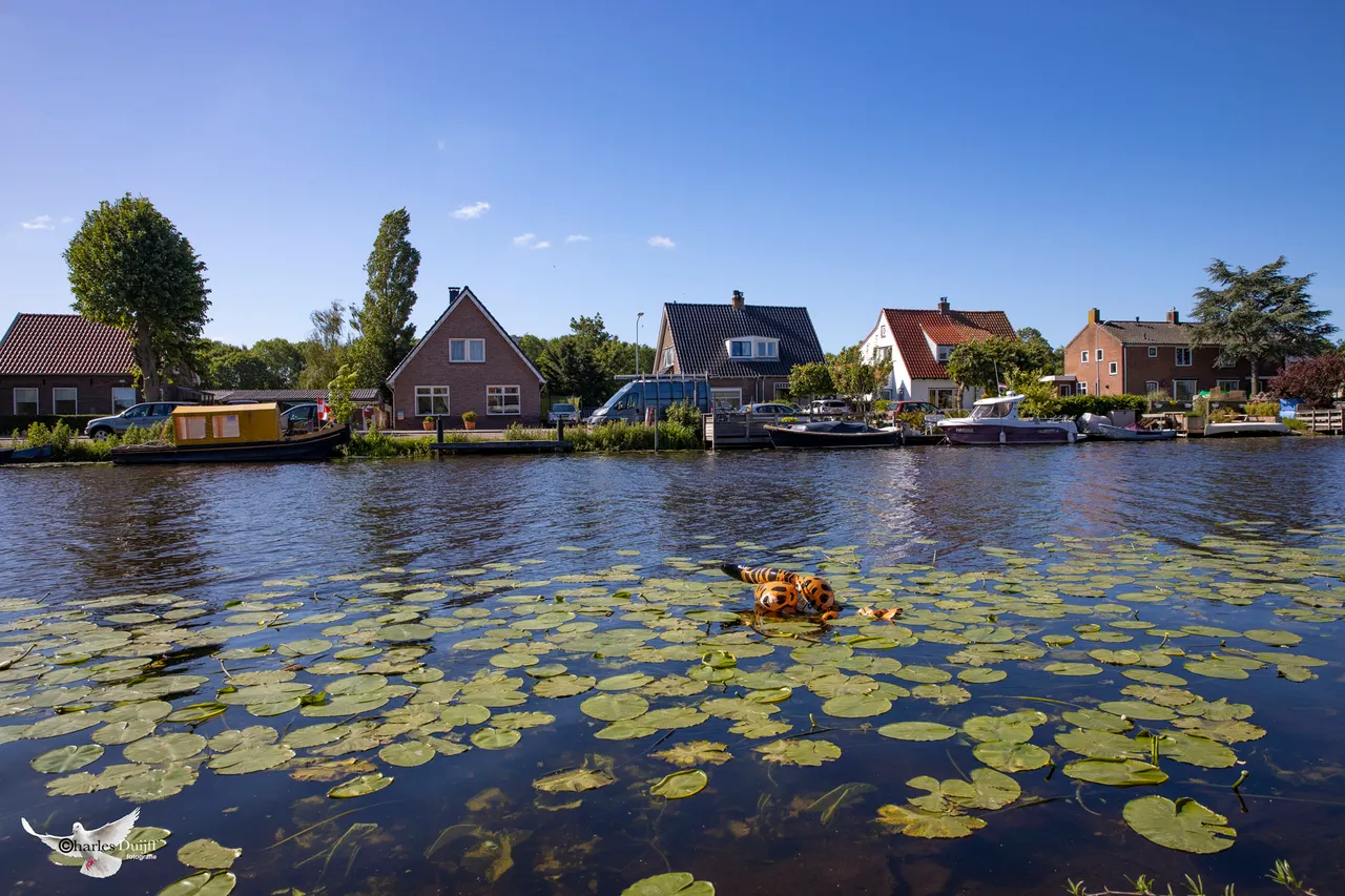 rinhgvaart 1