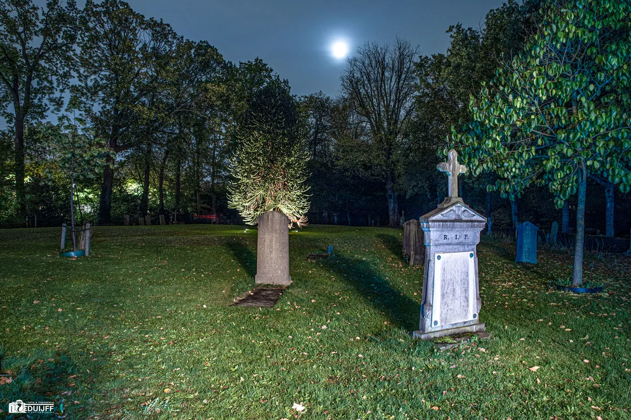 rip moon