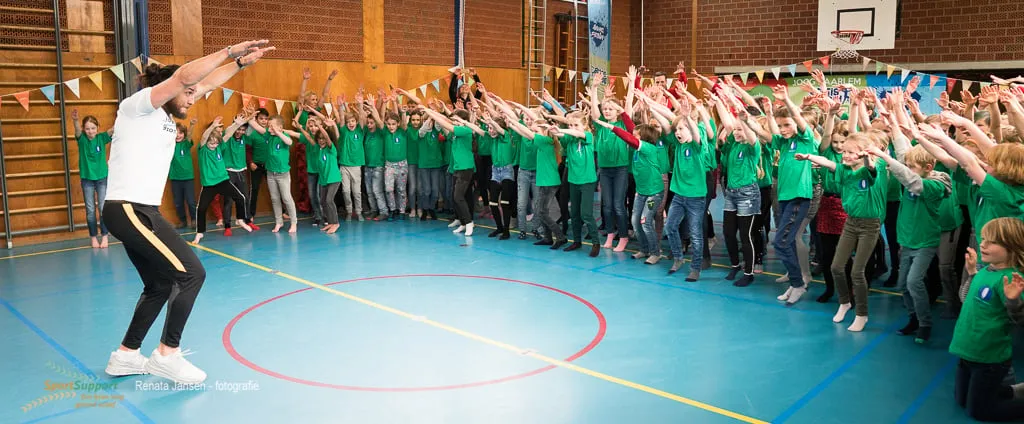 rj9 3 sps jogg 2454 juvat ii