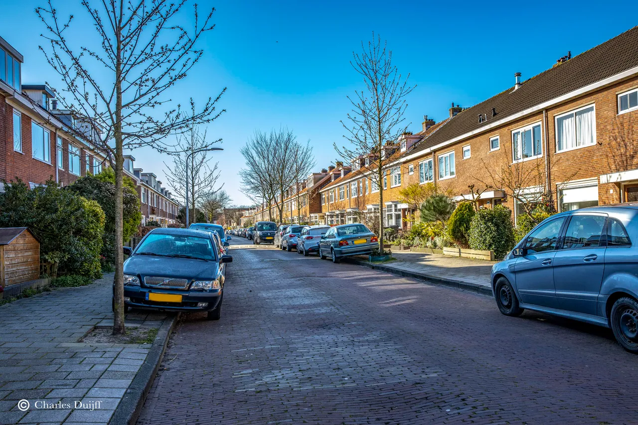 roerdomp