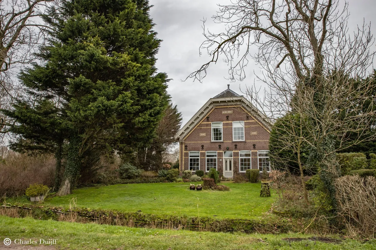 rustiek2