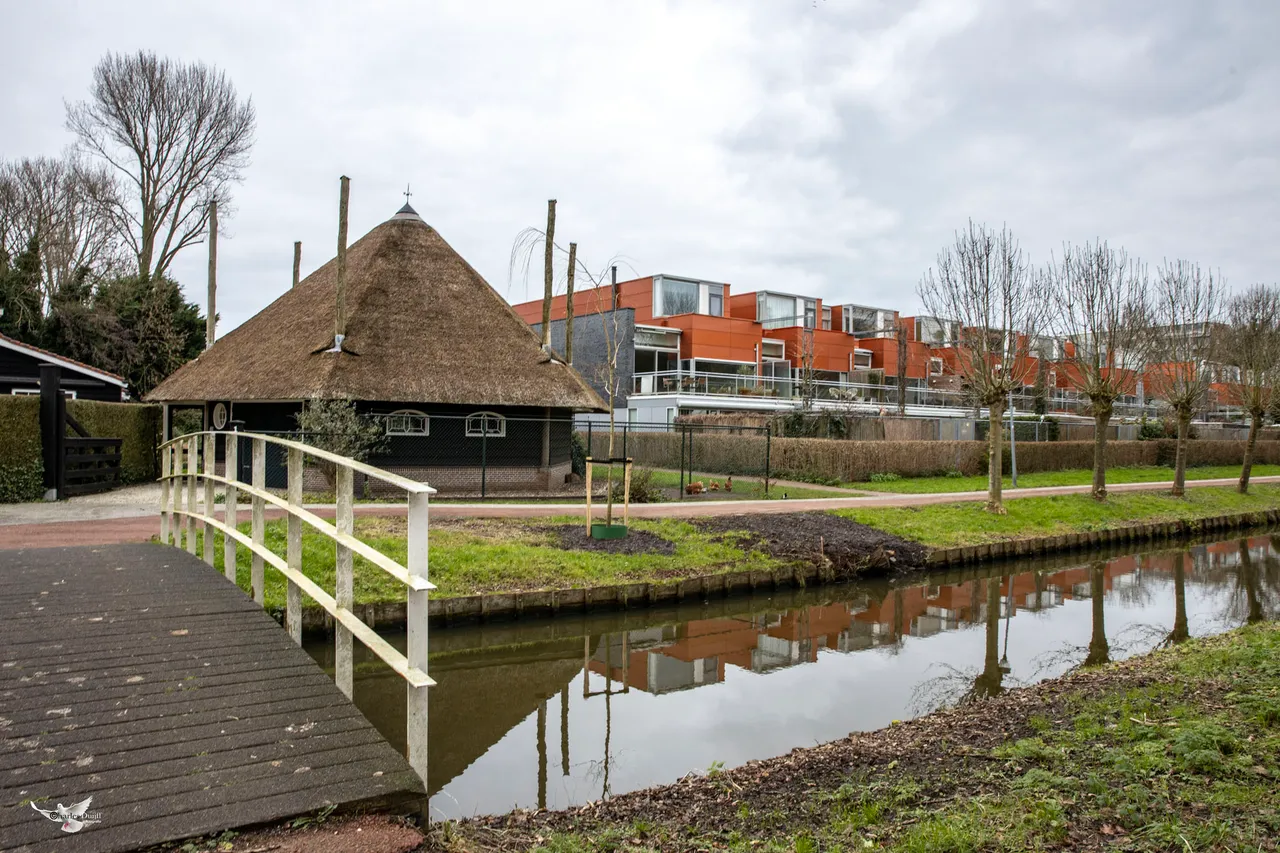 schoolevaer brugje