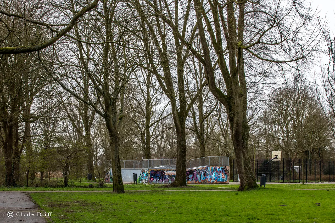 skeelerbaan bij hlem hoog