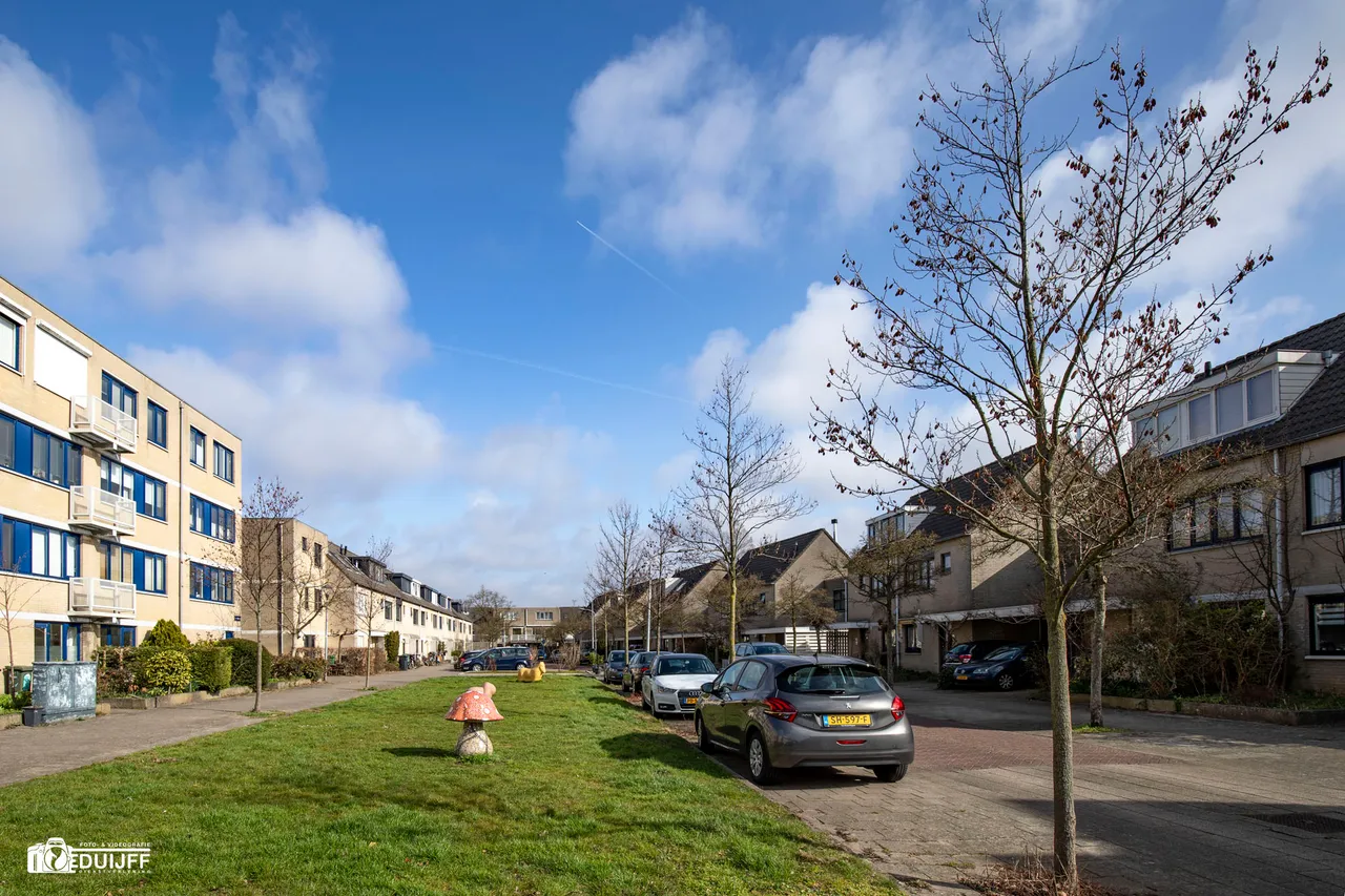 soestdijkstraat