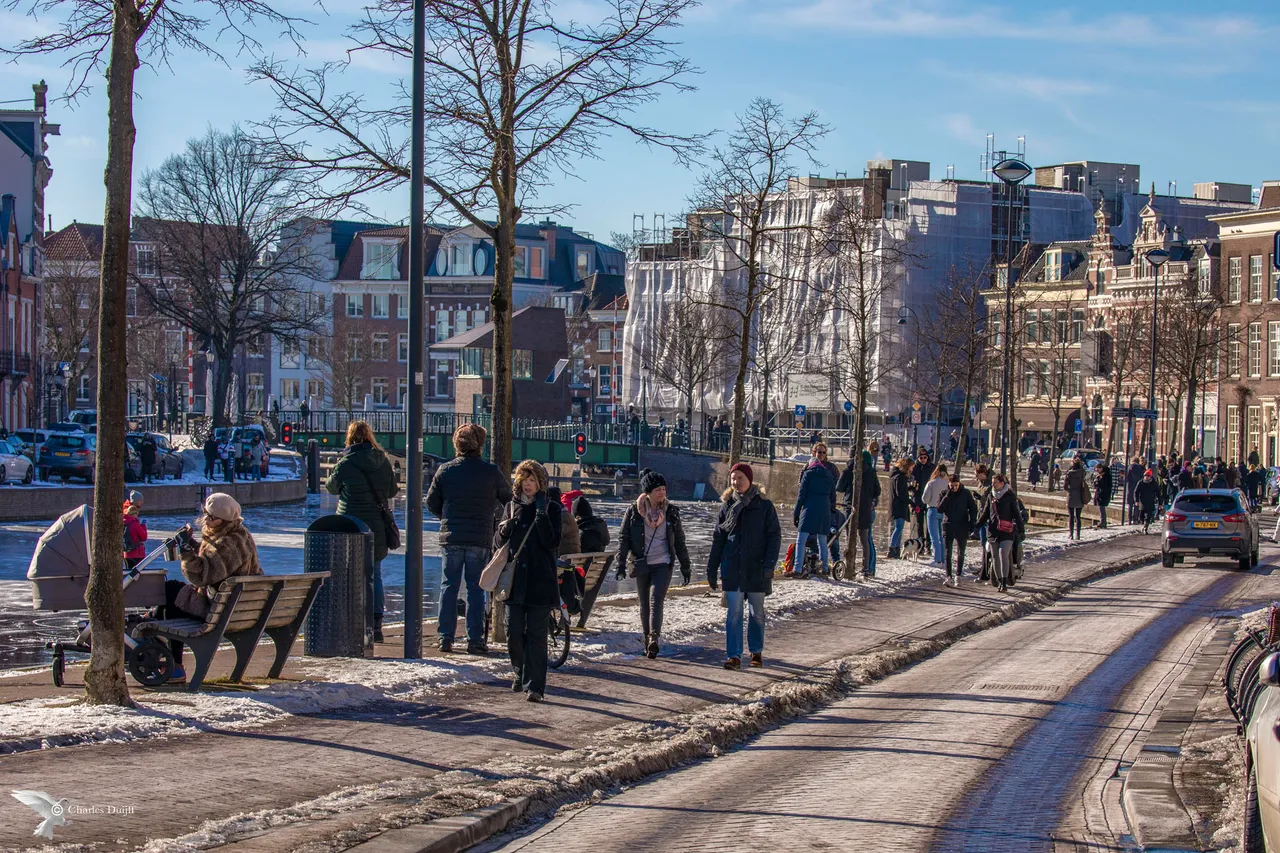 spaarne drukte aan wal