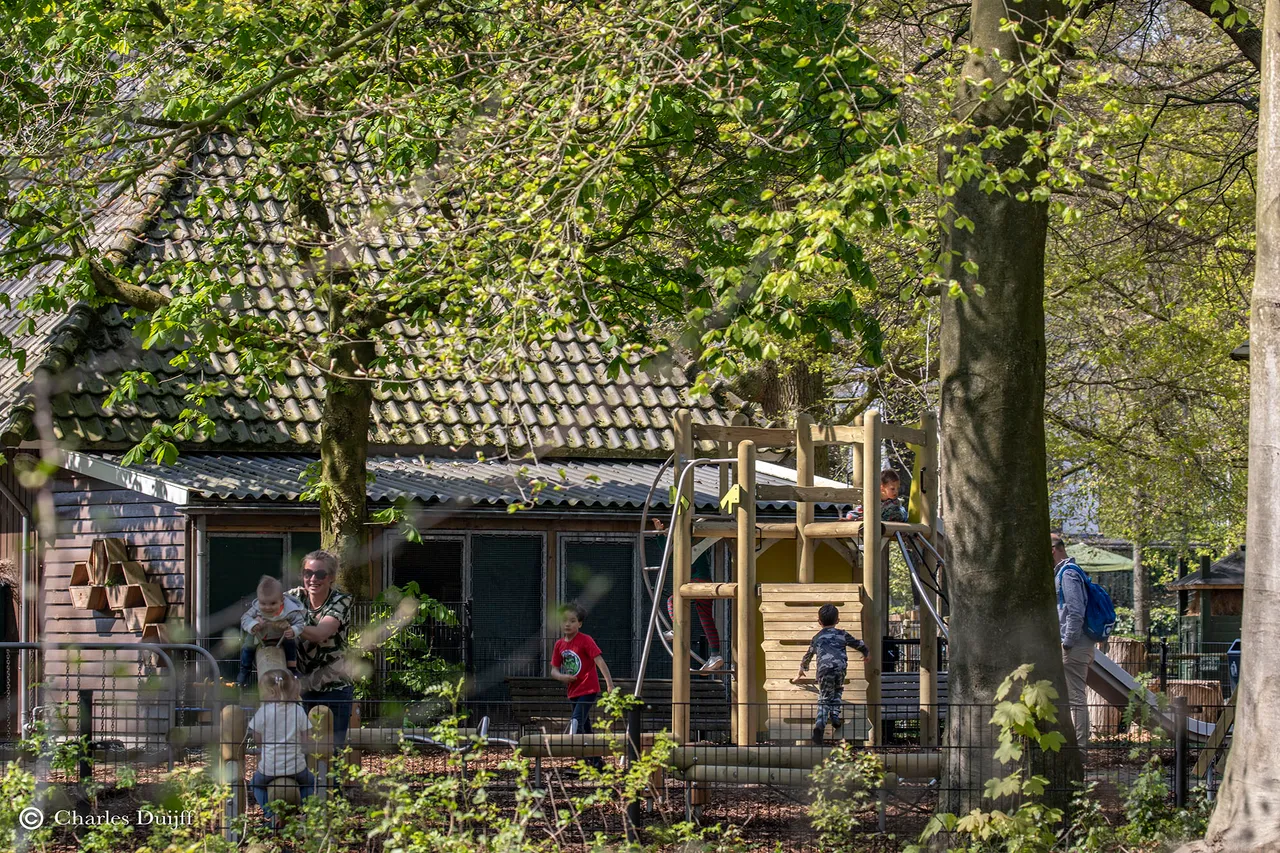 speeltuin