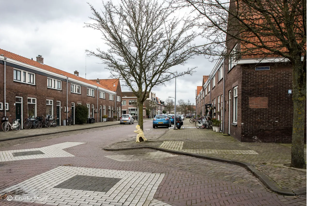 sterrebosstraat westerstraat