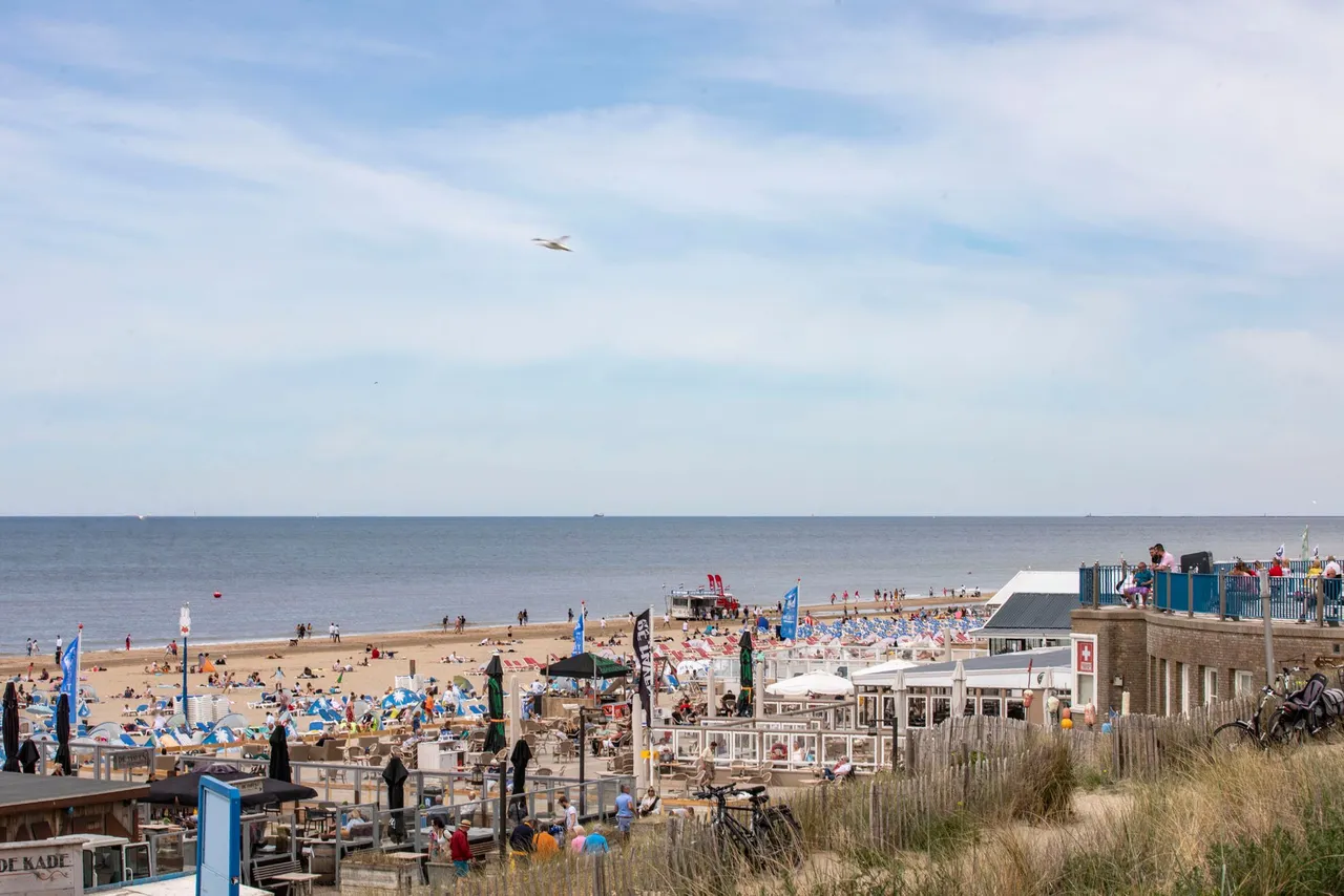 strand pinkster