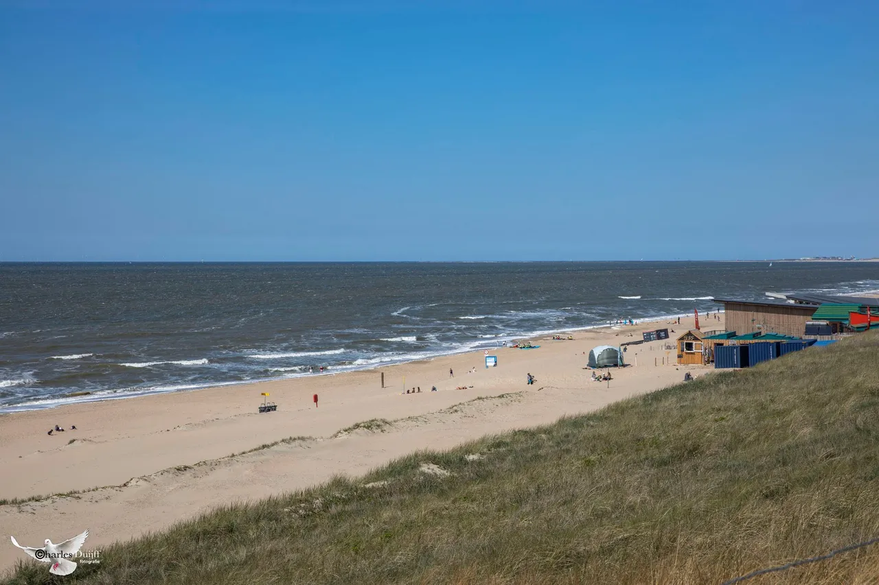 strand1