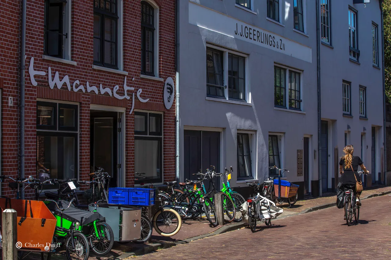 t mannetje