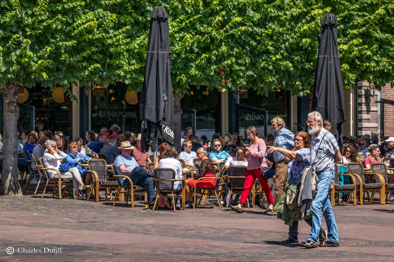 terras brinkman