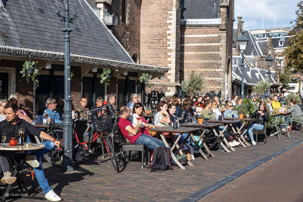 terras ogm