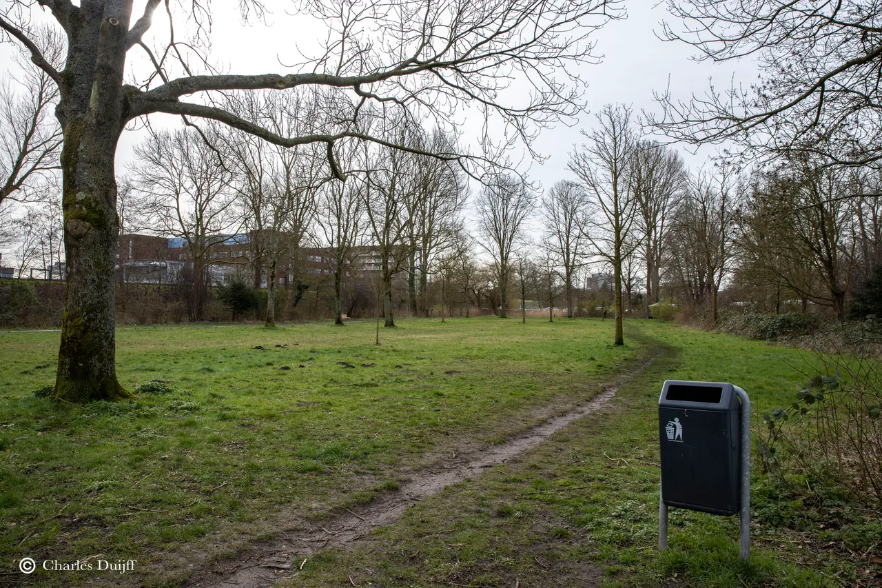 terrein achter haarlem hoog