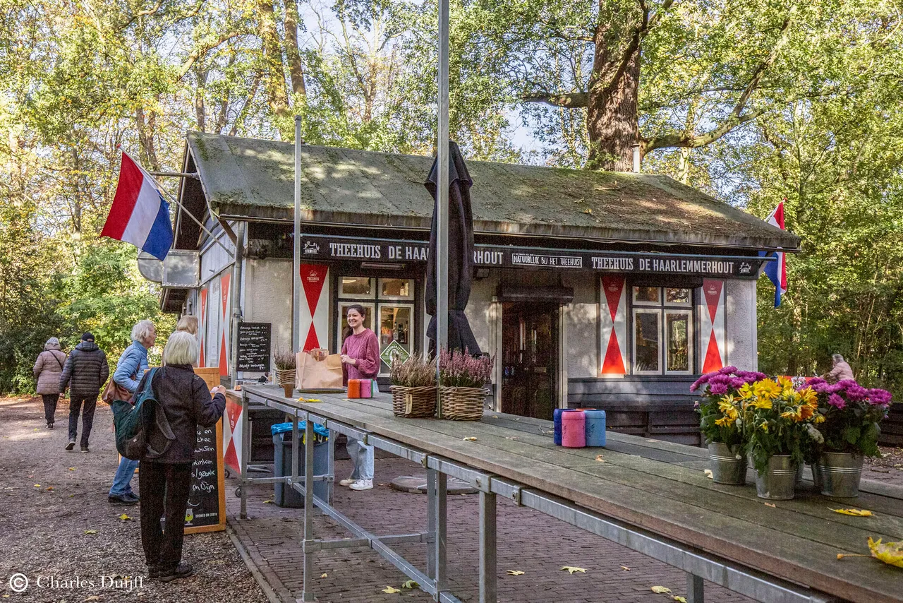 theehuis bestellen
