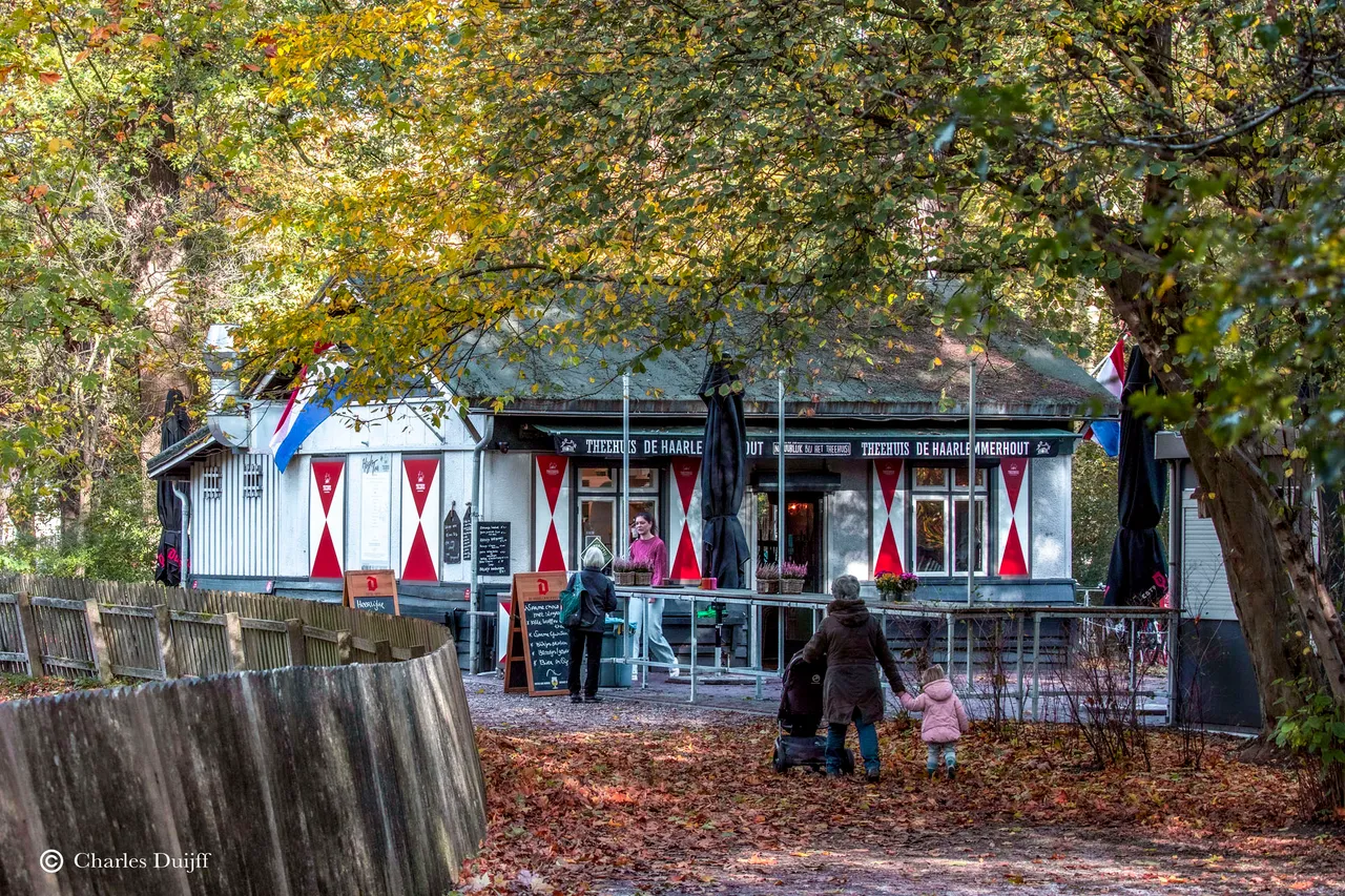 theehuis hout2