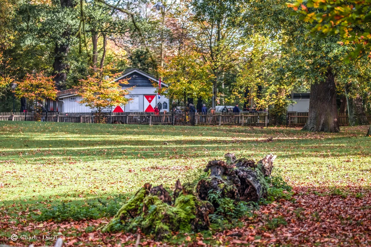 theehuis veraf