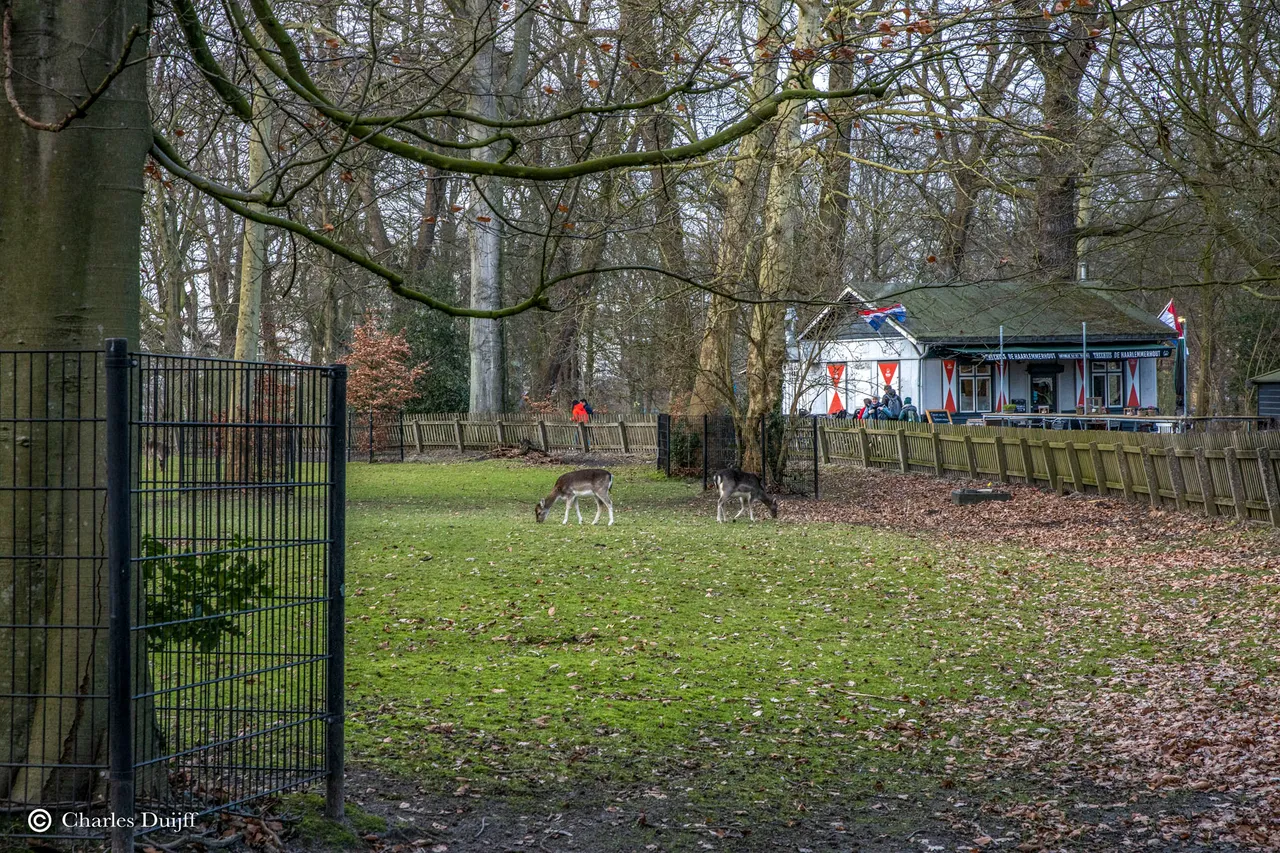 theehuis