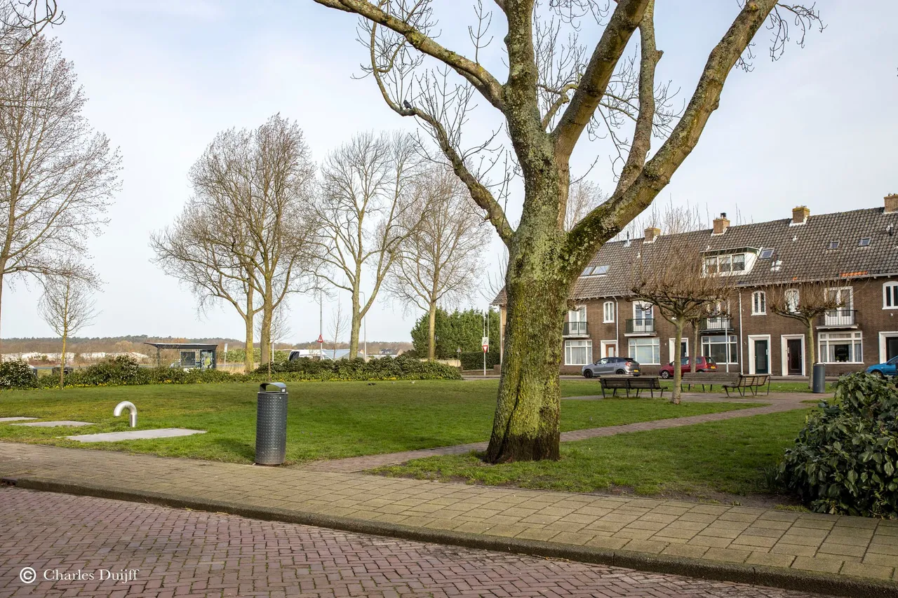 theemsplein gazon