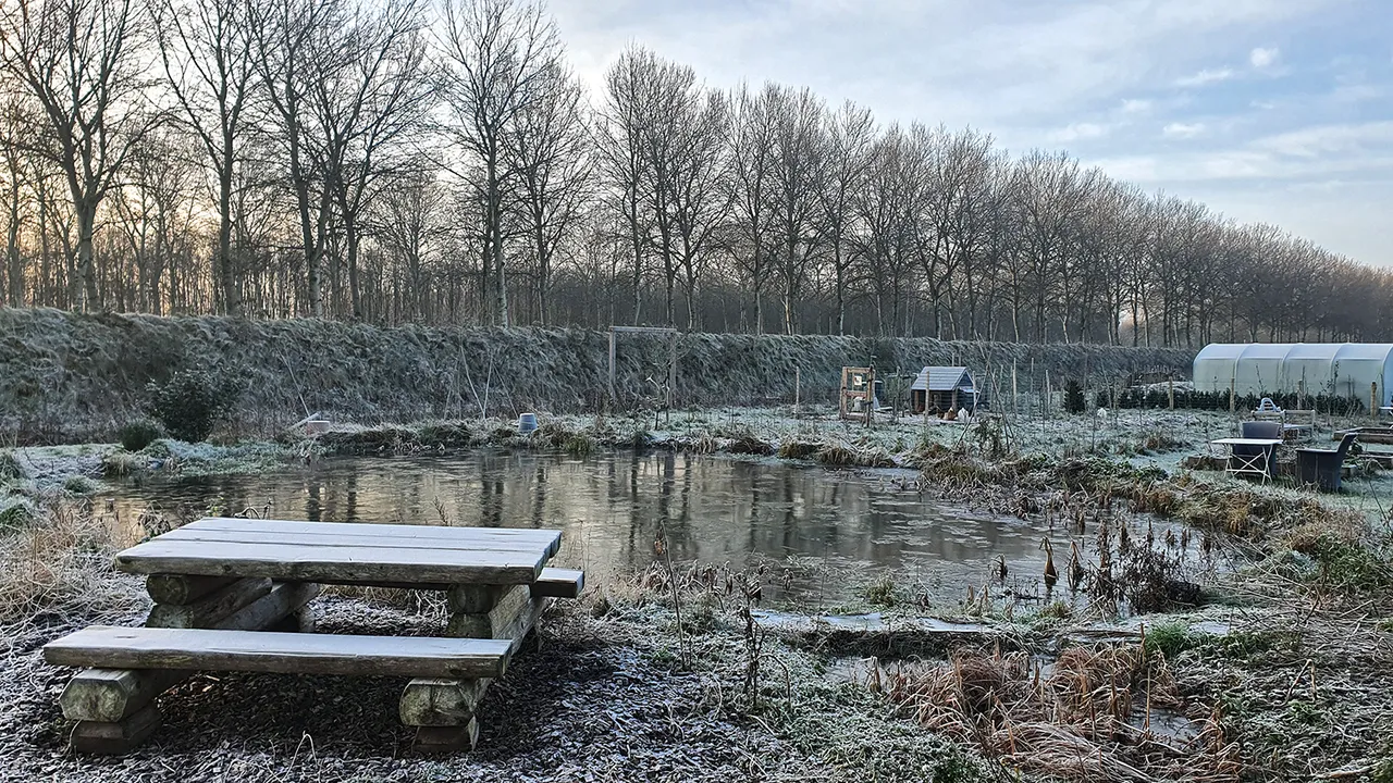 tin vorst wim meijer fotografie
