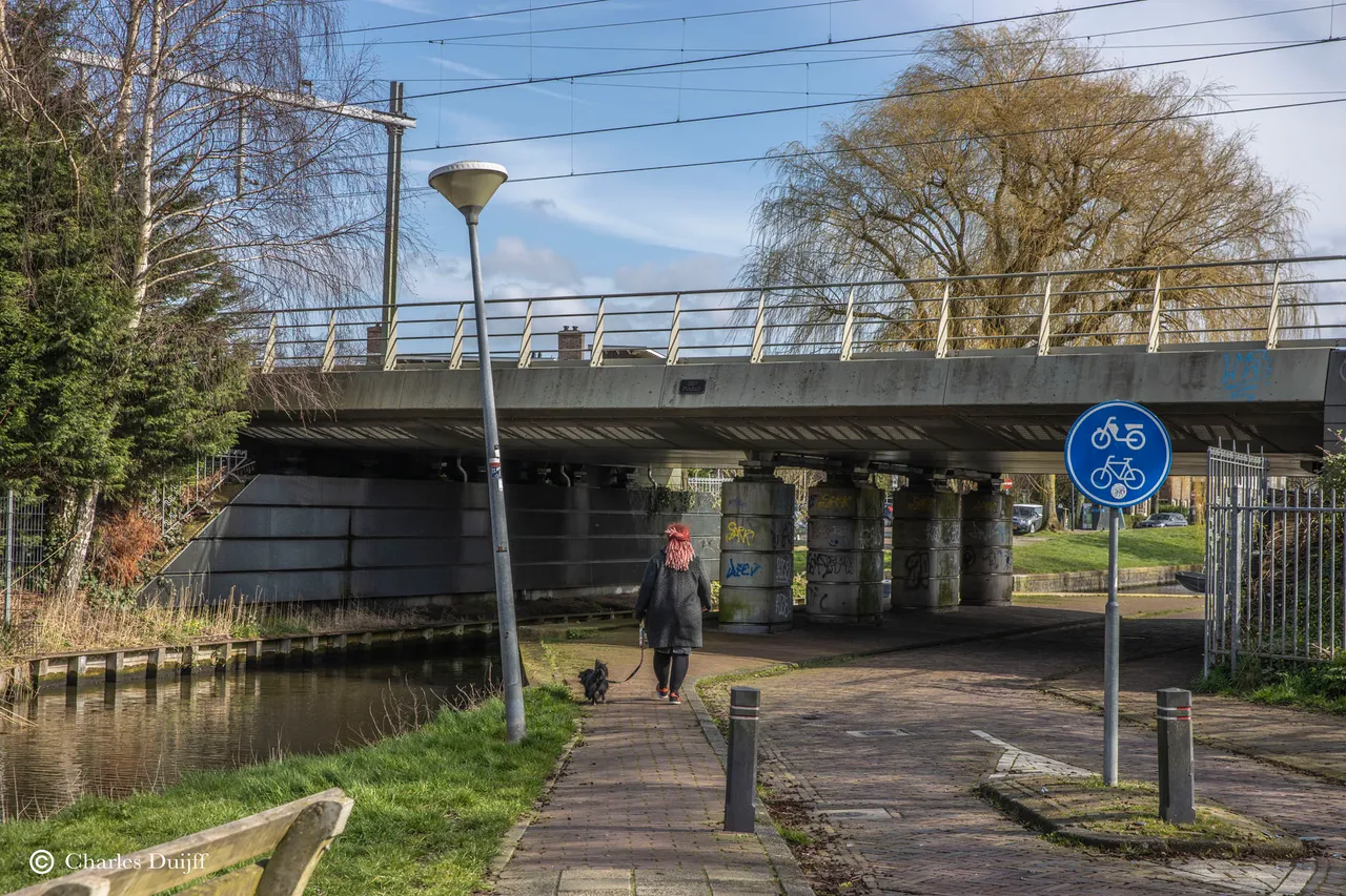 treinviaduct koppestokstraat