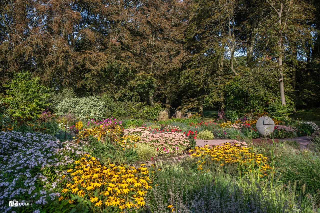 tuin fraai