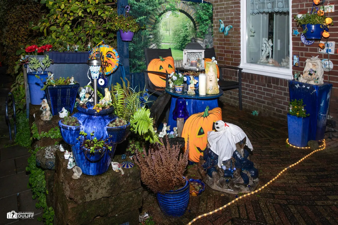 tuin l