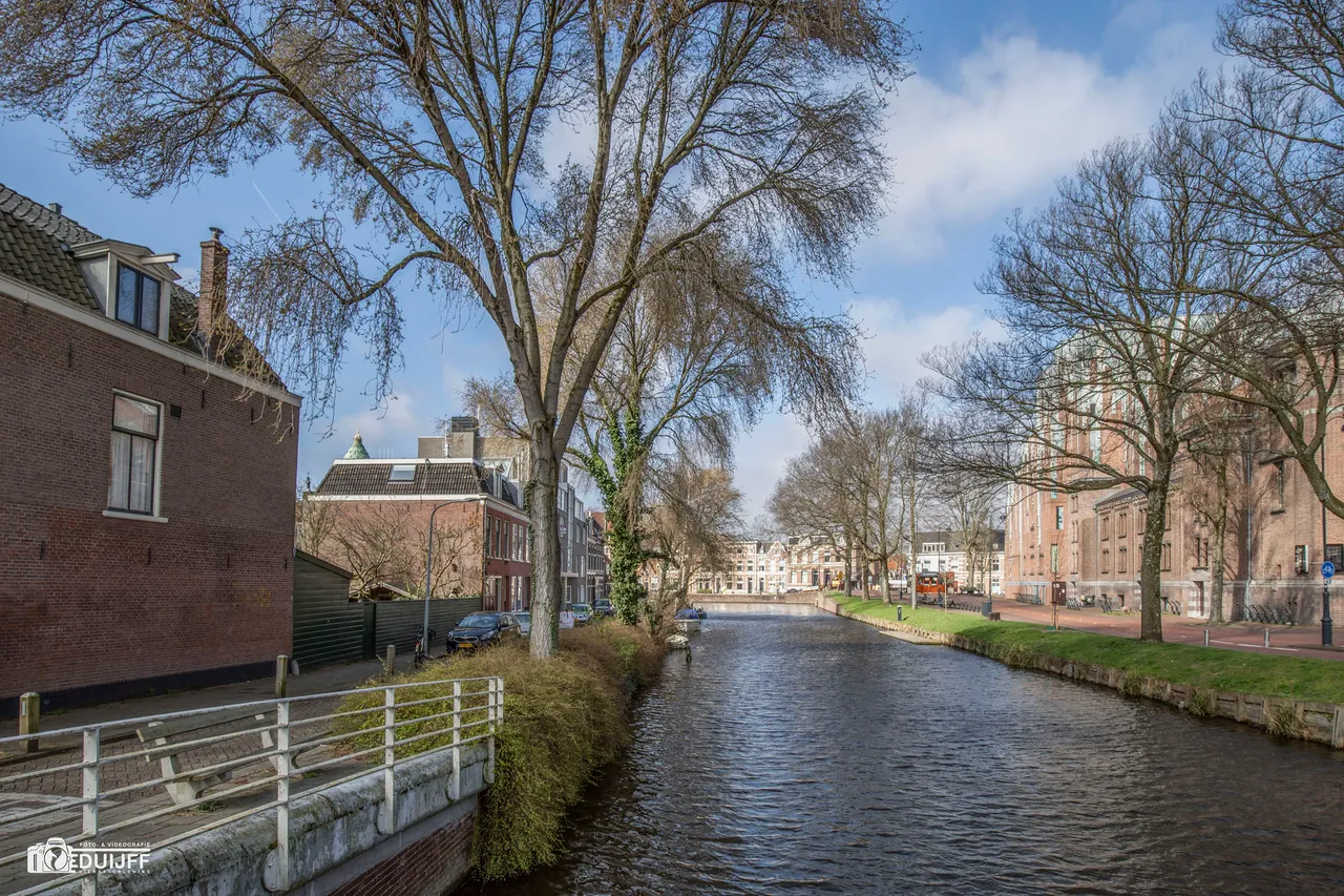tuinlaantje